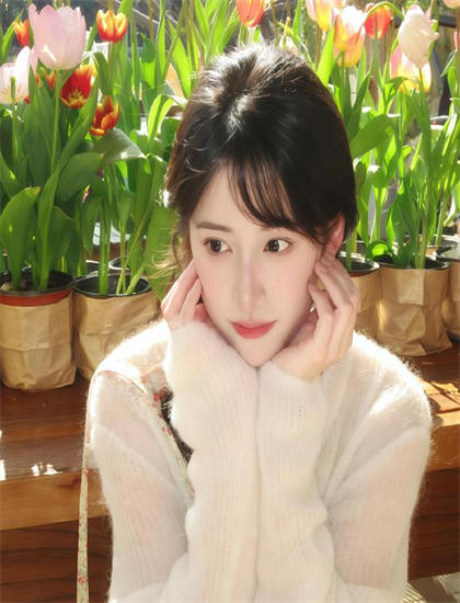 文化研究：《假行家》如何展现民族特色与普世价值的平衡 了解文化传播的机制与效果