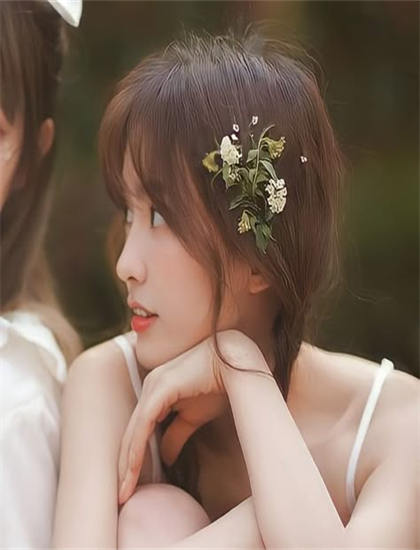 深入《我们、我们的宠物和战争》的世界开创性的：全面解读与深度分析